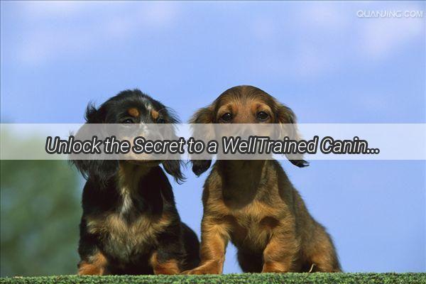 Unlock the Secret to a WellTrained Canine Master the Art of Commanding Your Furry Friend